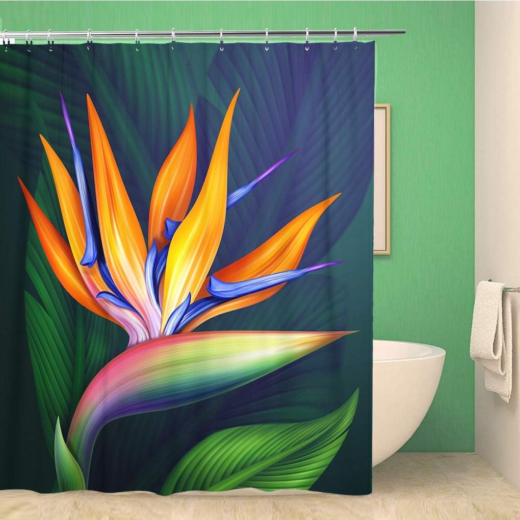 Hawaiian Strelitzia Bird Of Paradise Exotic Flower Shower Curtain Botanical Illustration Color Bathroom Decor