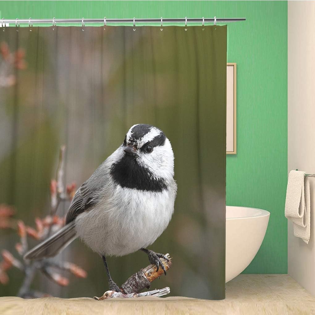 Mountain Chickadee Bird Shower Curtain Black And White Colorado Conservation Ornithology Passerine Bath Decor