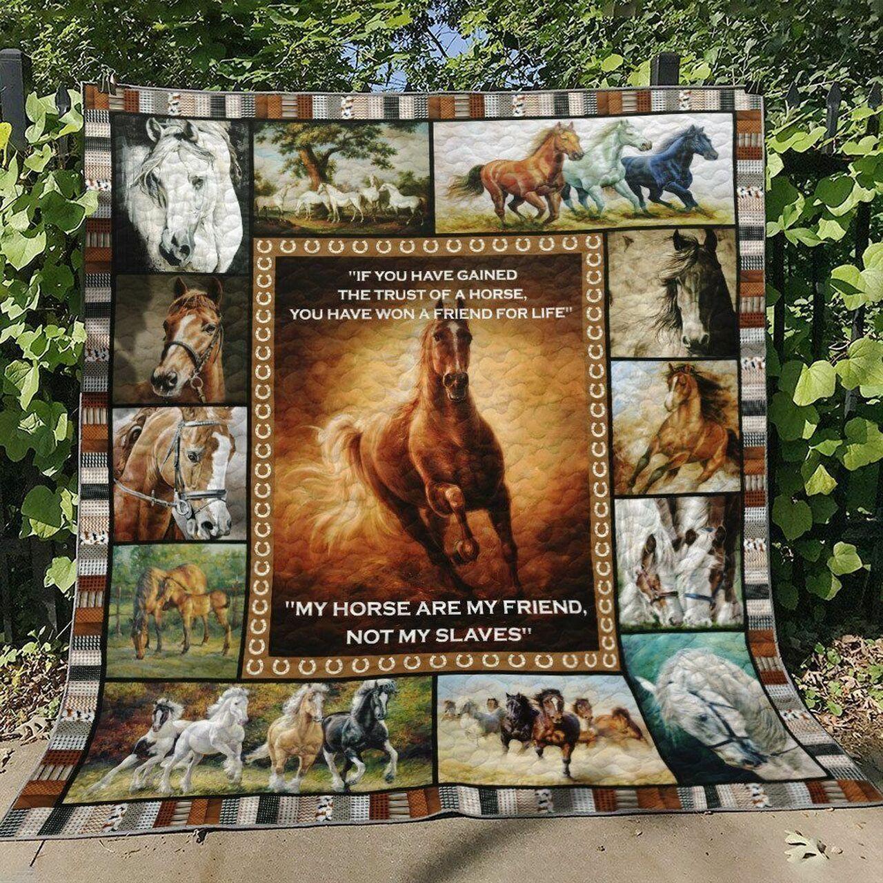 e Hn230713B Quilt Blanket