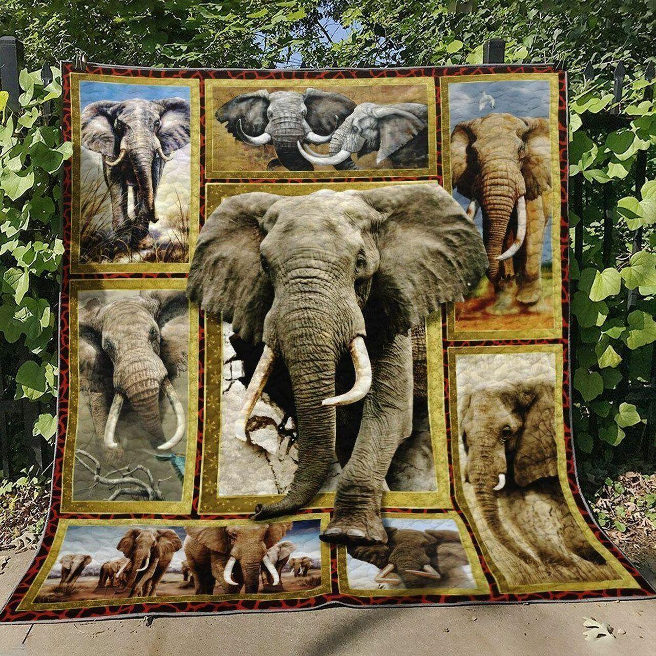 Elephant Hm080710 Quilt Blanket