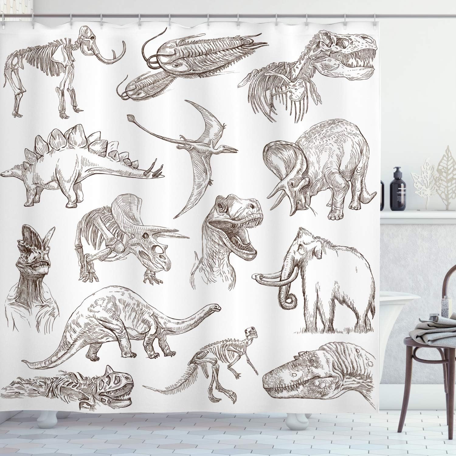Historic Dinosaur Shower Curtain, Various Illustrations Cloth Fabric Bathroom Decor, Home Decor Brown