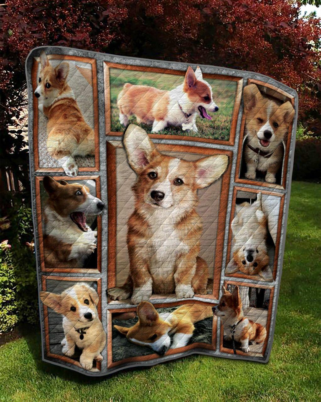 Corgi Td18110089 Quilt Blanket