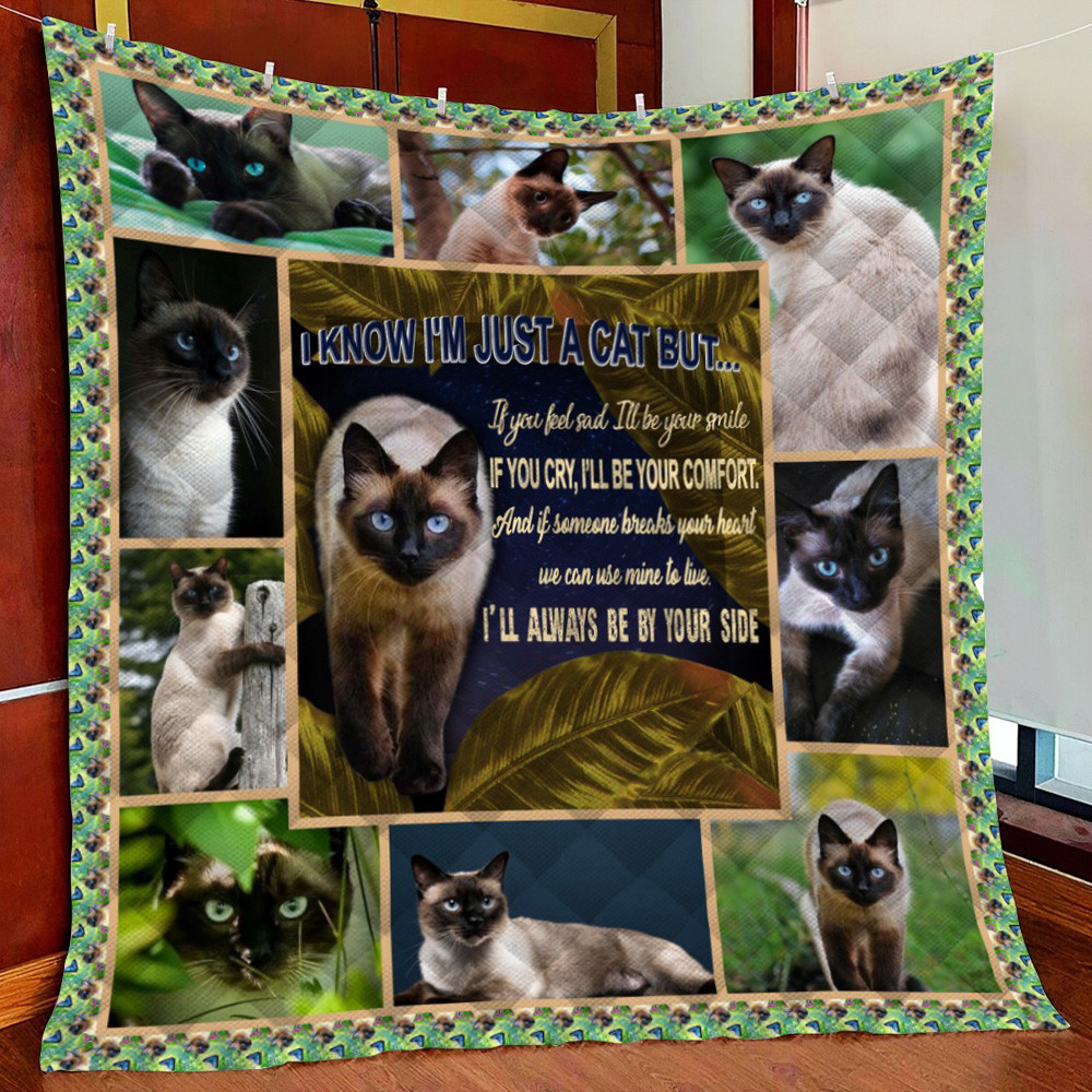 Sie Cat Fleece Blanket Quilt Blanket For Bed