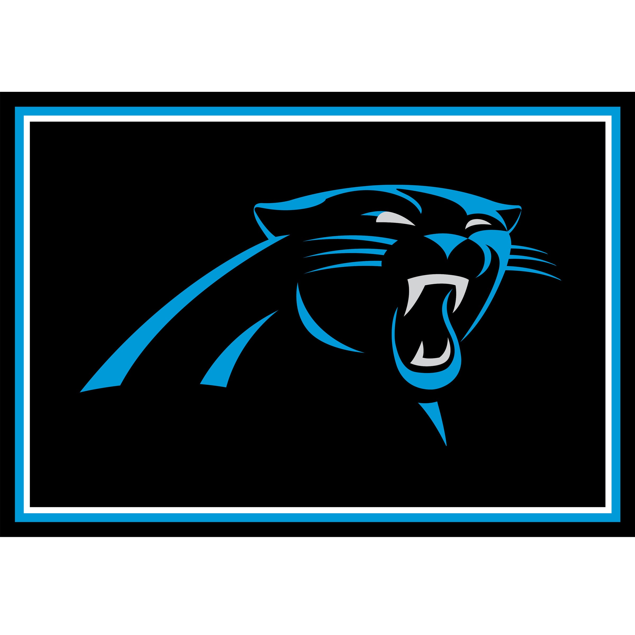 Nfl Carolina Panthers Entry Mat And Area Rug 