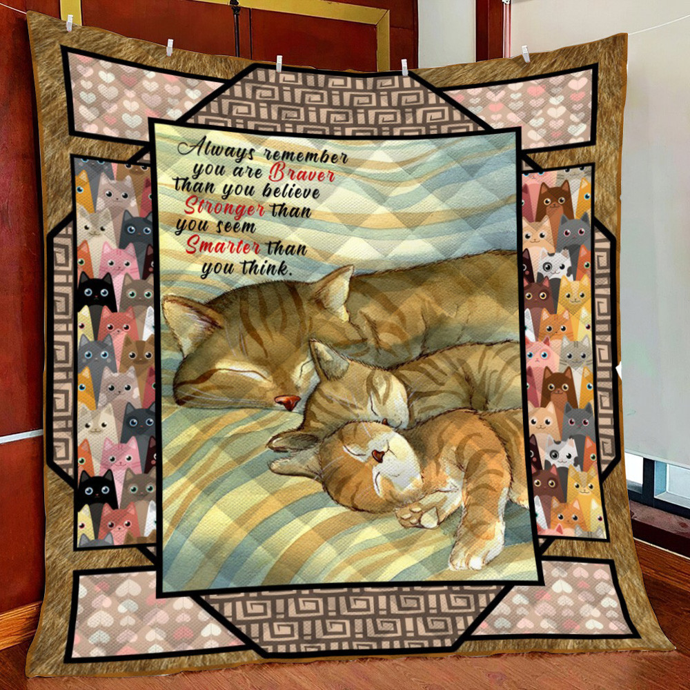 Smarter Than You Think Cat Fleece Blanket Quilt Blanket