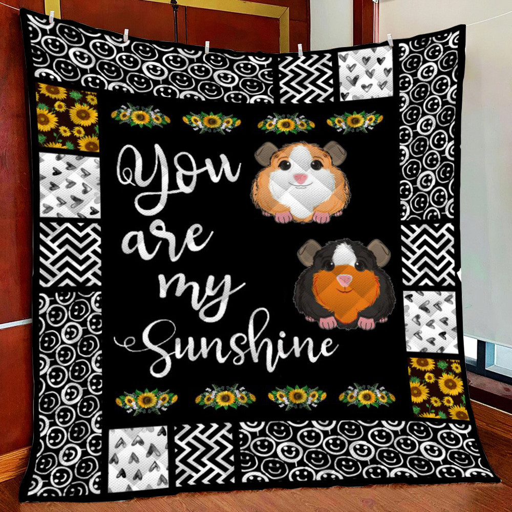 Guinea Pig You Are unshine Fleece Blanket Quilt Blanket For Bed
