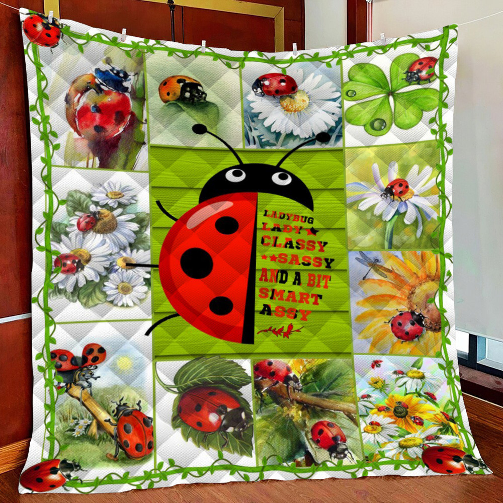 Ladybug Fleece Blanket Quilt Blanket For Bed