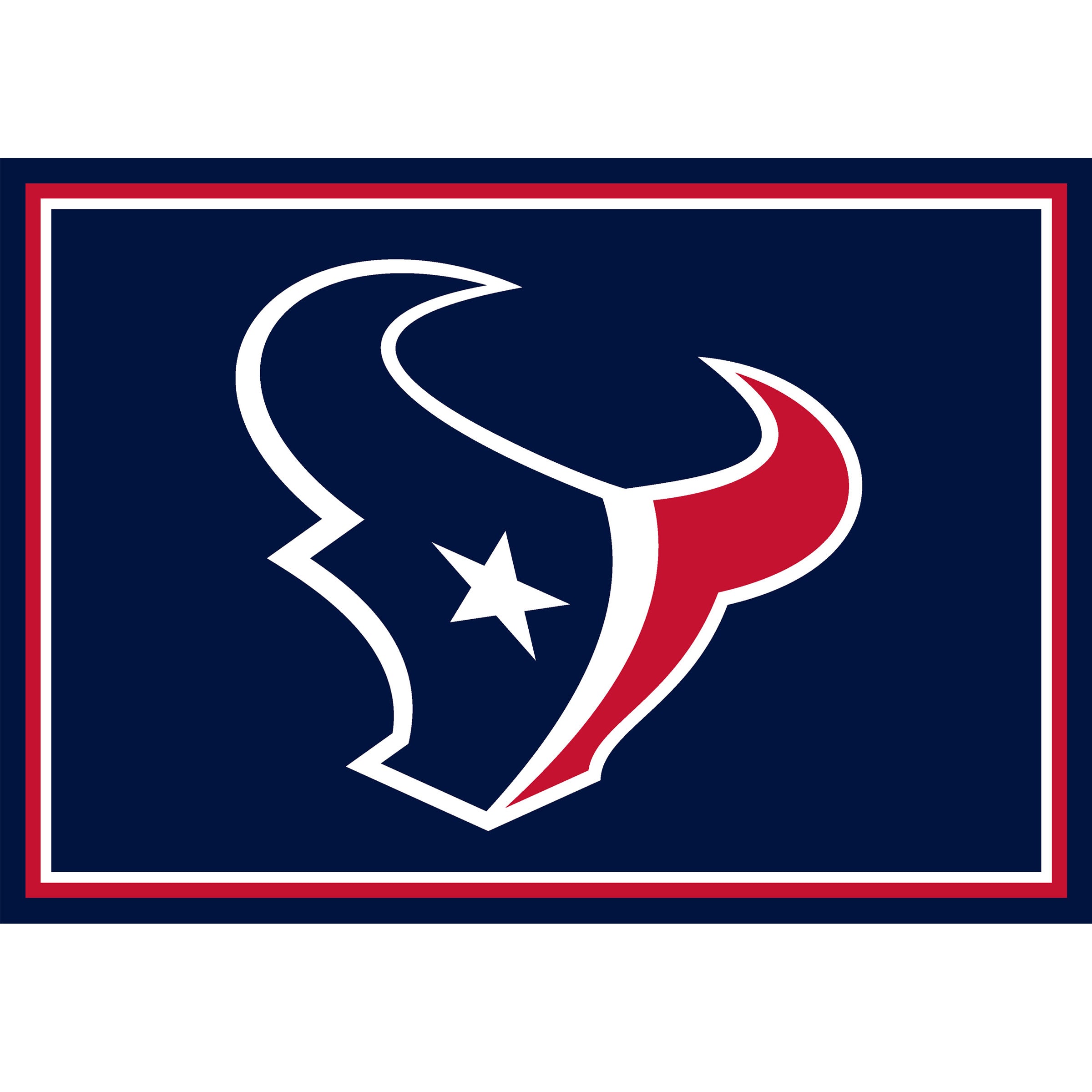 Nfl Houston Texans Entry Mat And Area Rug 