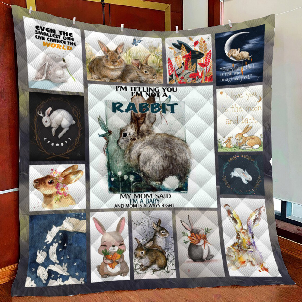 Even Tmat One Can Change The World Rabbit Fleece Blanket Quilt Blanket