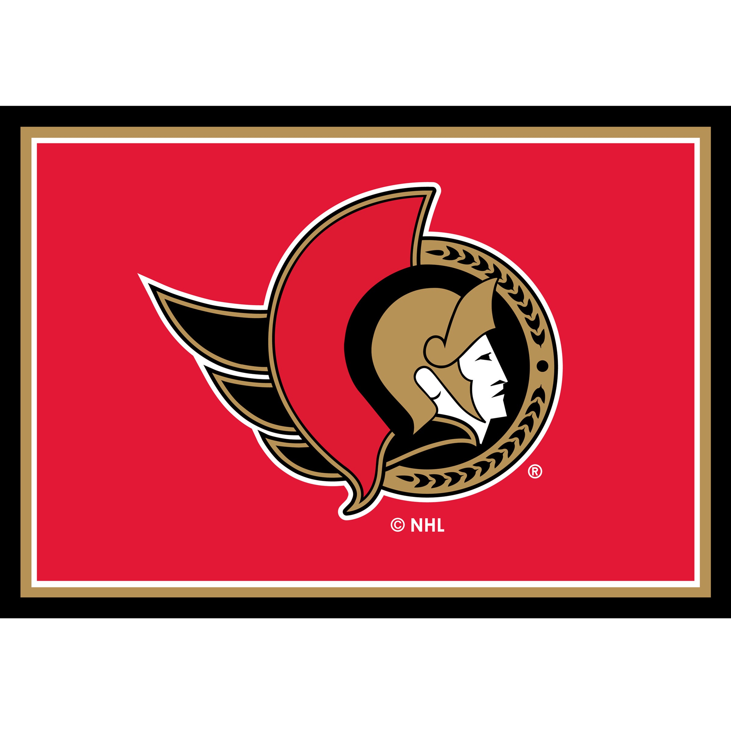 Nhl Ottawa Senators Entry Mat And Area Rug 