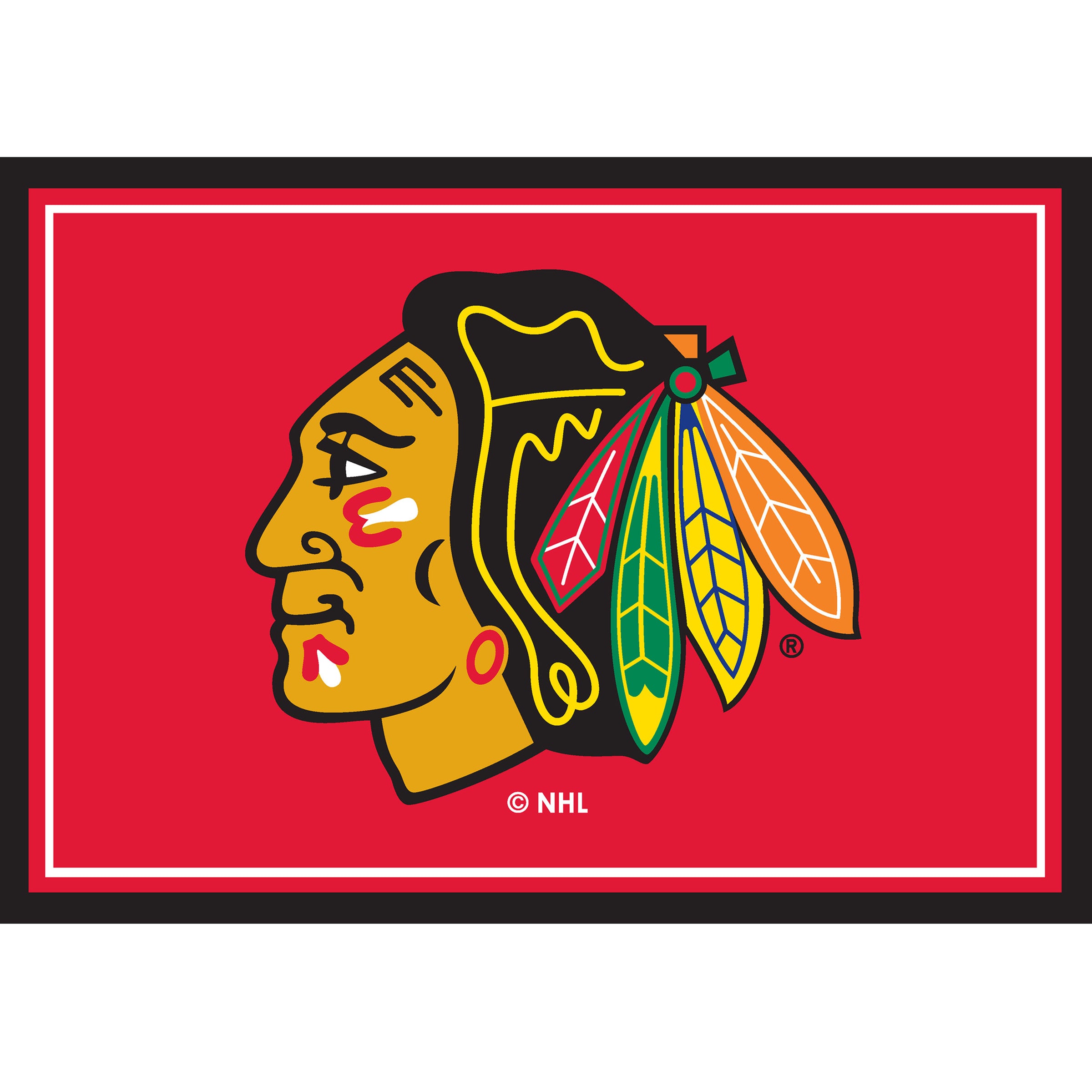 Nhl Chicago Blackhawks Entry Mat And Area Rug 