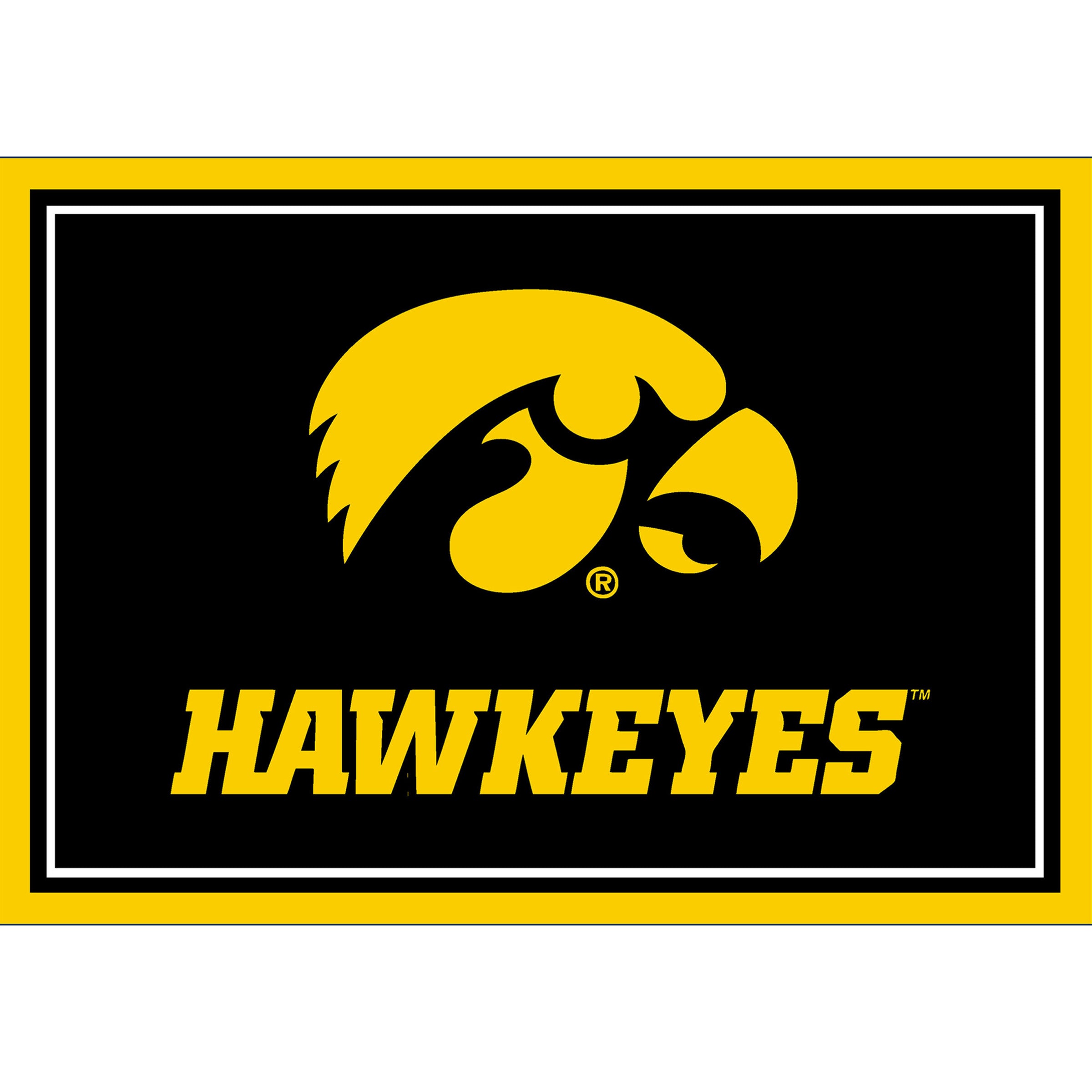 Ncaa Iowa Hawkeyes Entry Mat And Area Rug 