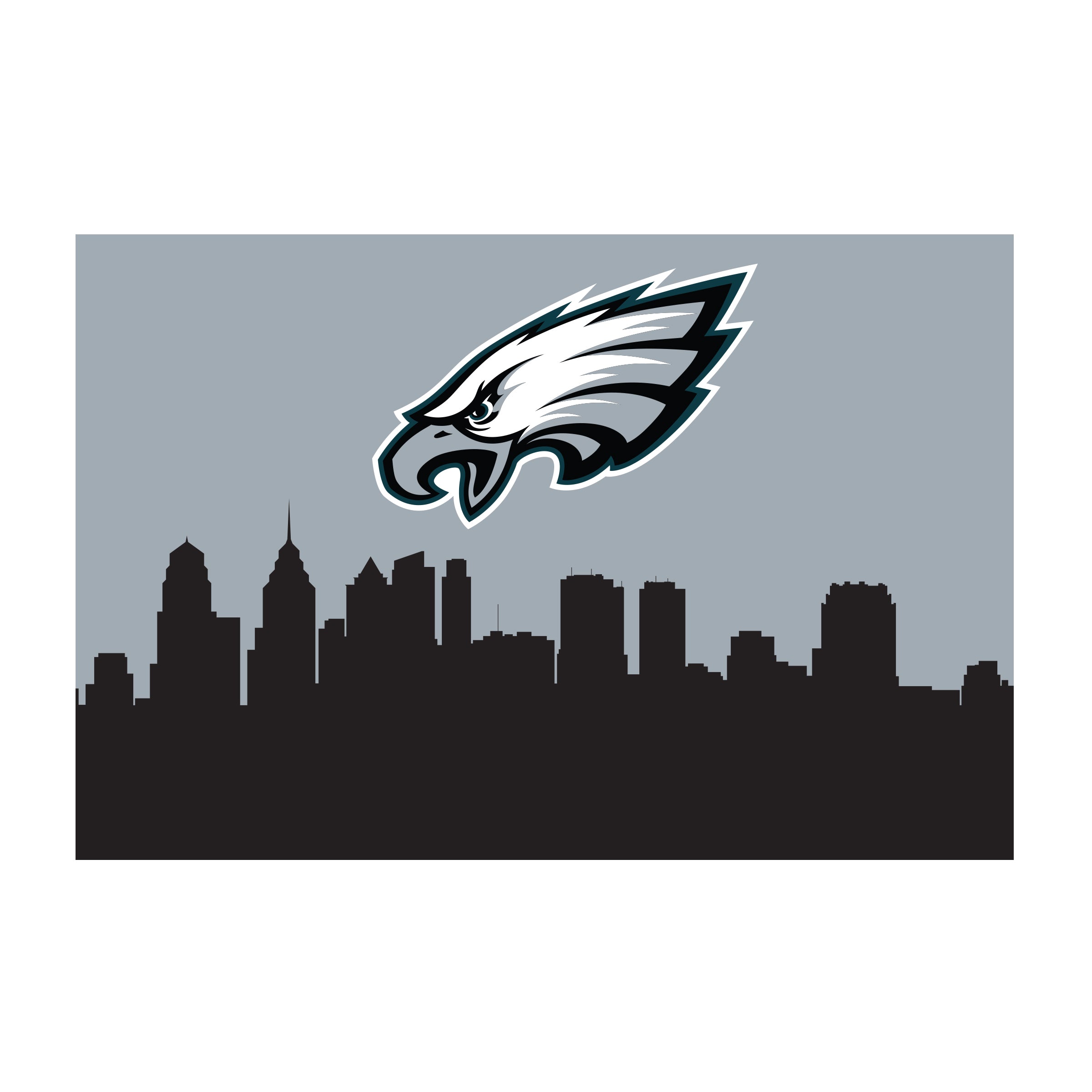 Nfl Philadelphia Eagles Washable 2 X 3 Ft Area Rug City Scape Design
