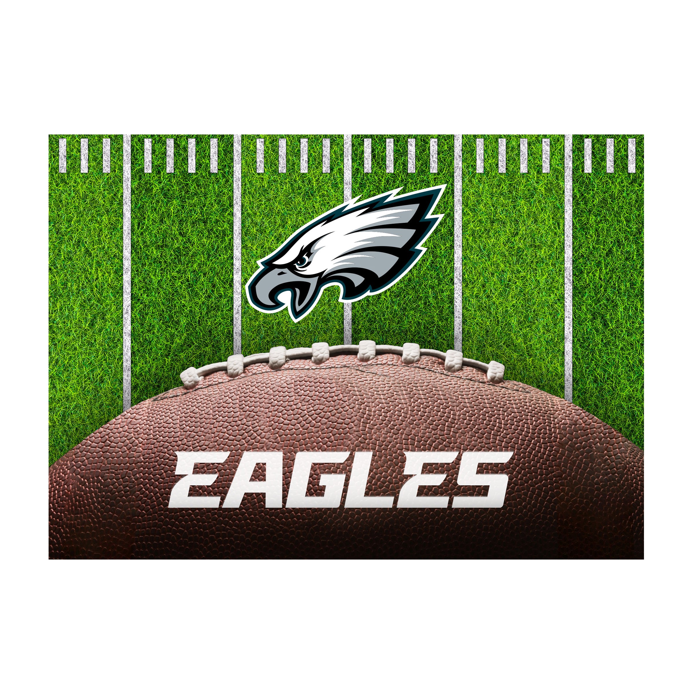 Nfl Philadelphia Eagles Washable 5 X 7 Ft Area Rug Football Field Design