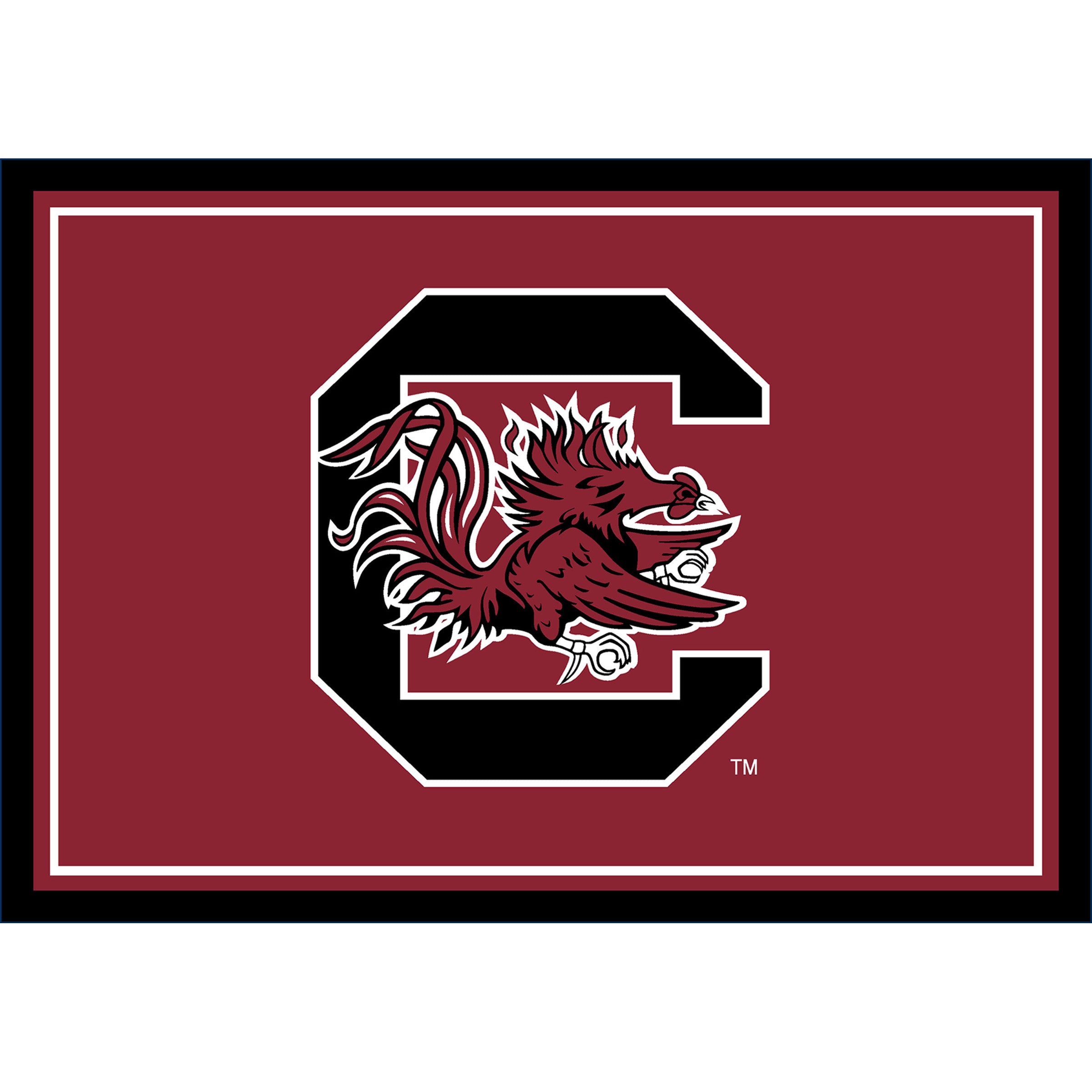 Ncaa South Carolina Gamecocks Entry Mat And Area Rug 
