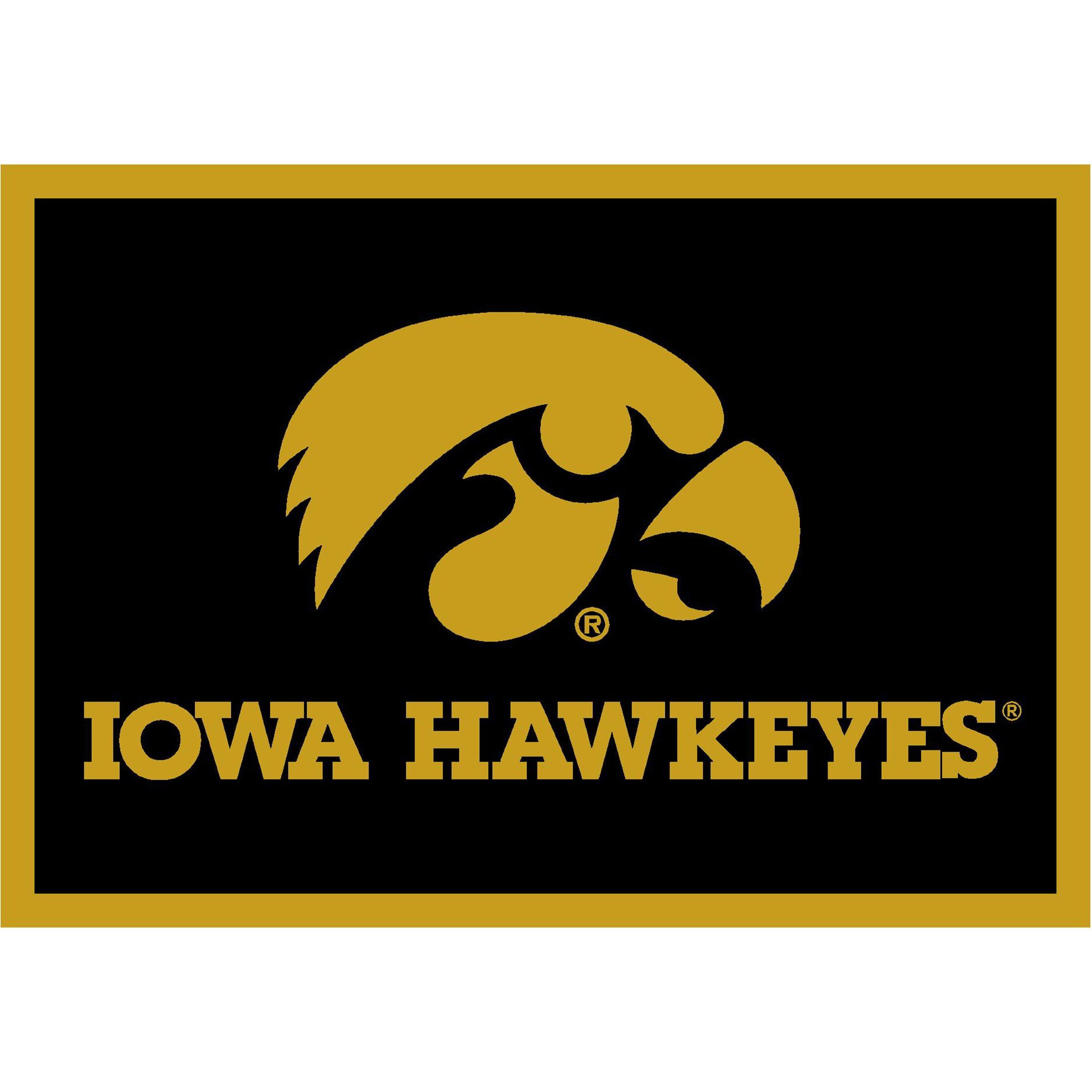 Ncaa Iowa Hawkeyes Team Logo Area Rug Spirit Design