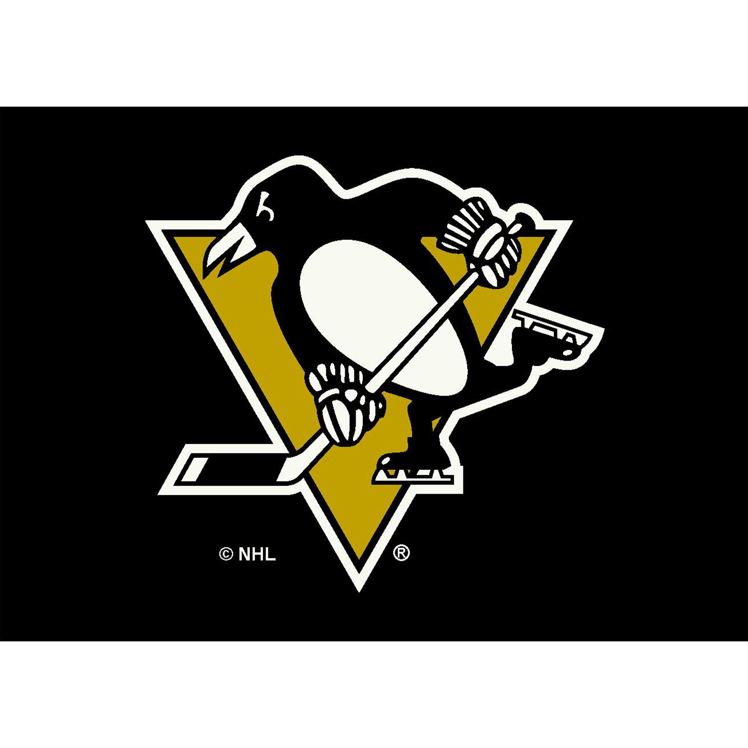 Nhl Pittsburgh Penguins Team Logo Area Rug Spirit Design