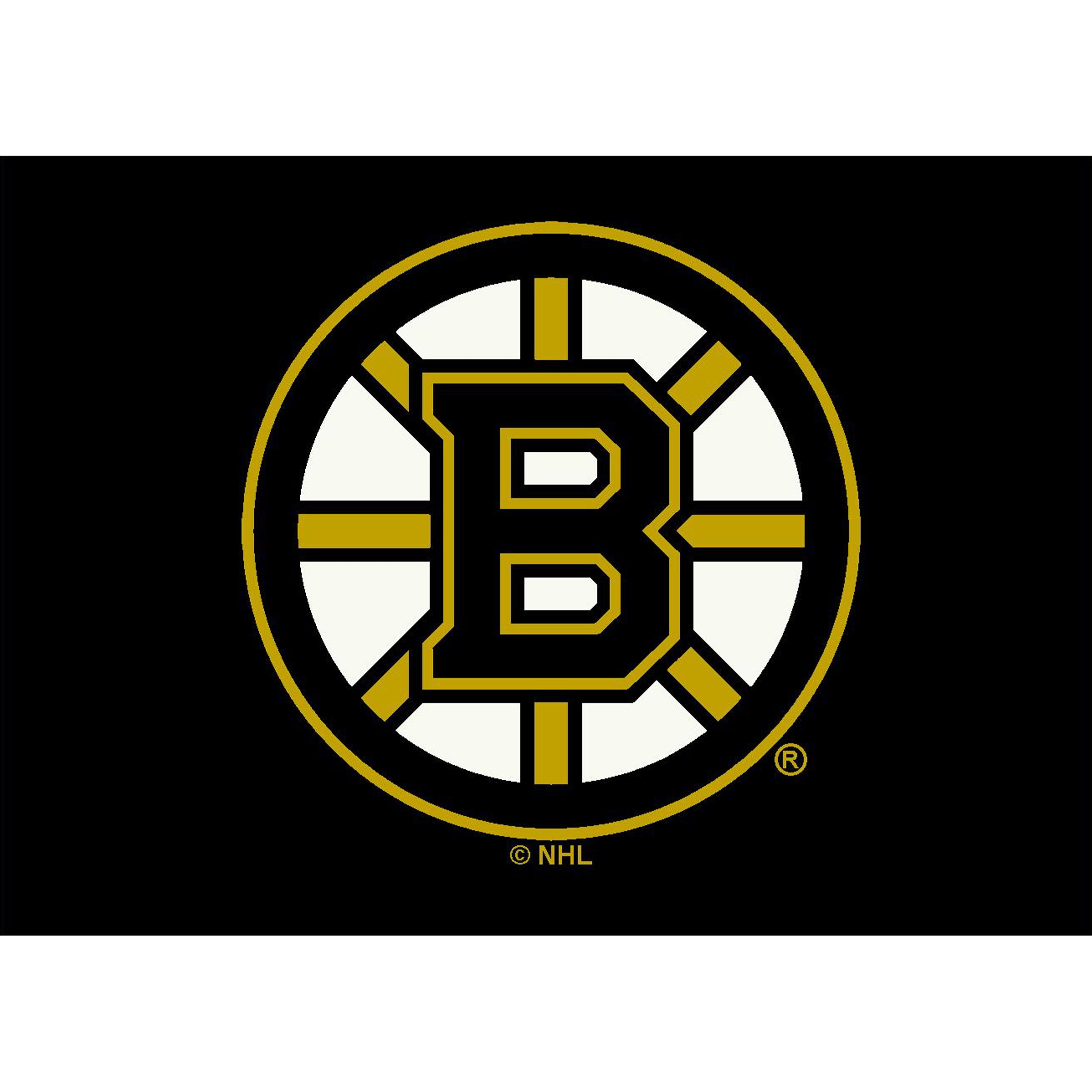 Nhl Boston Bruins Team Logo Area Rug Spirit Design