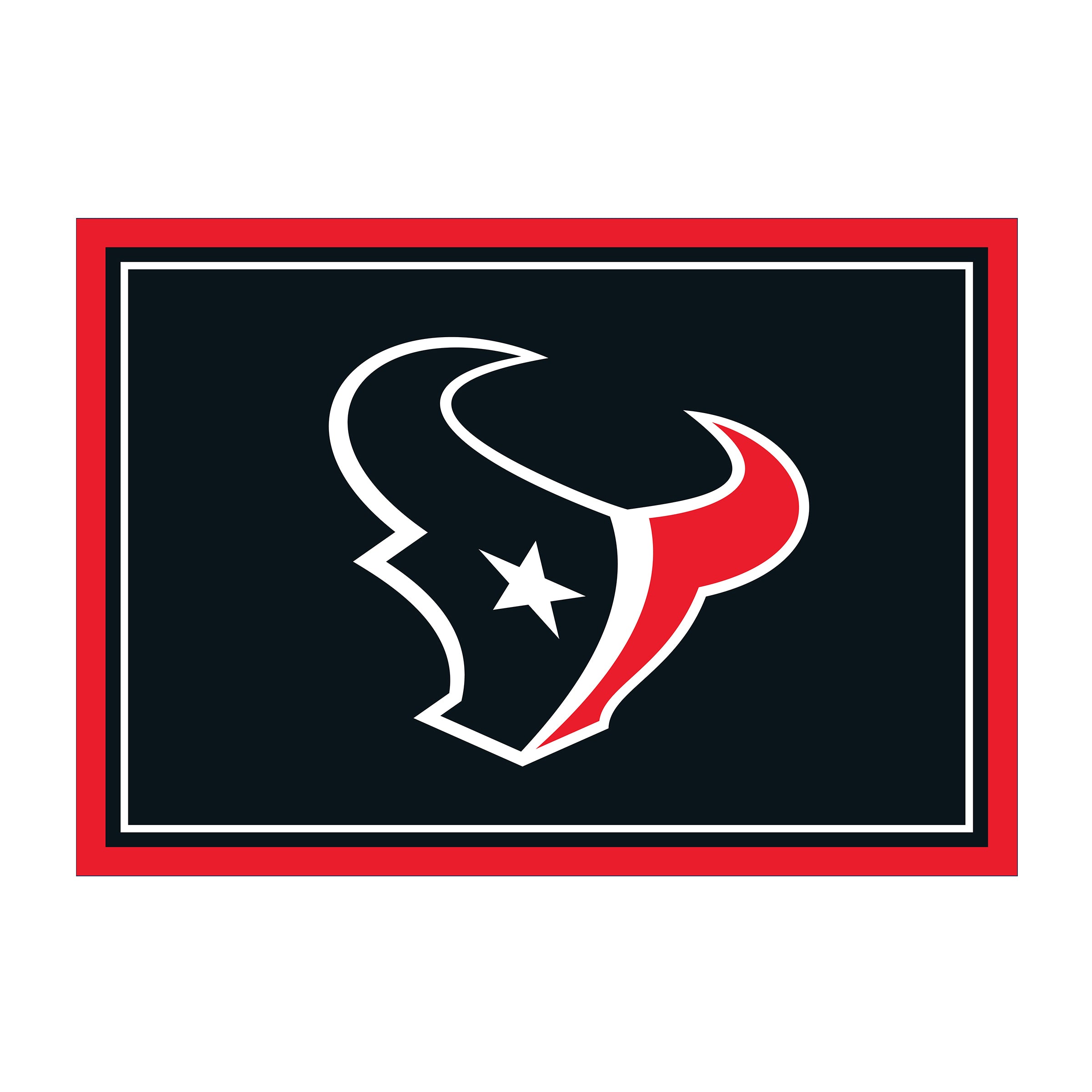 Nfl Houston Texans Team Logo Area Rug Spirit Design