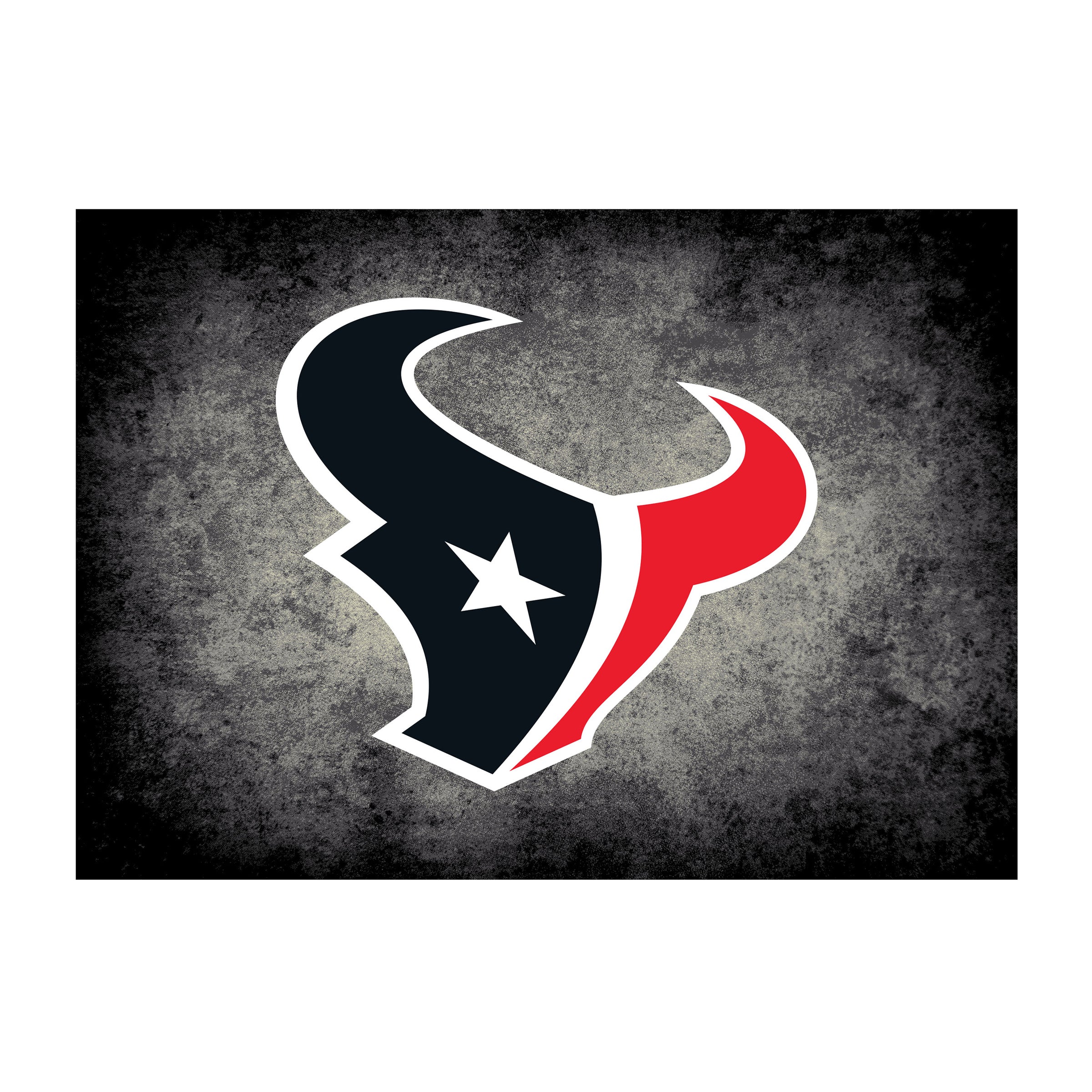 Nfl Houston Texans Team Logo Area Rug Distressed Design