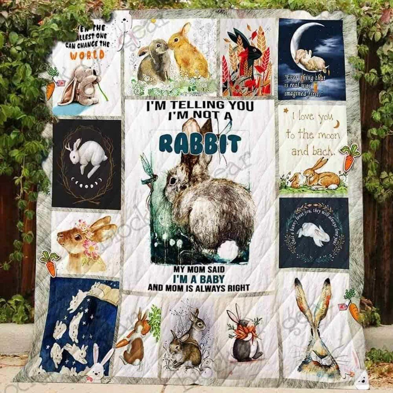 Even Tmat One Can Change The World Rabbit Blanket Kc1507 Quilt