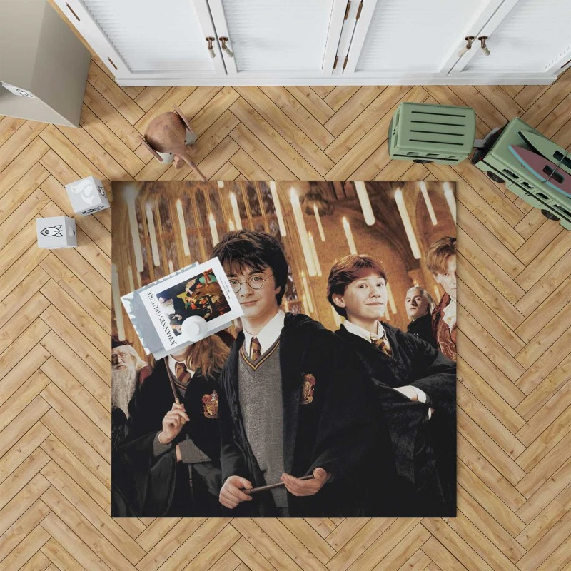 Harry Potter And The Chamber Of Secrets Movie Rug