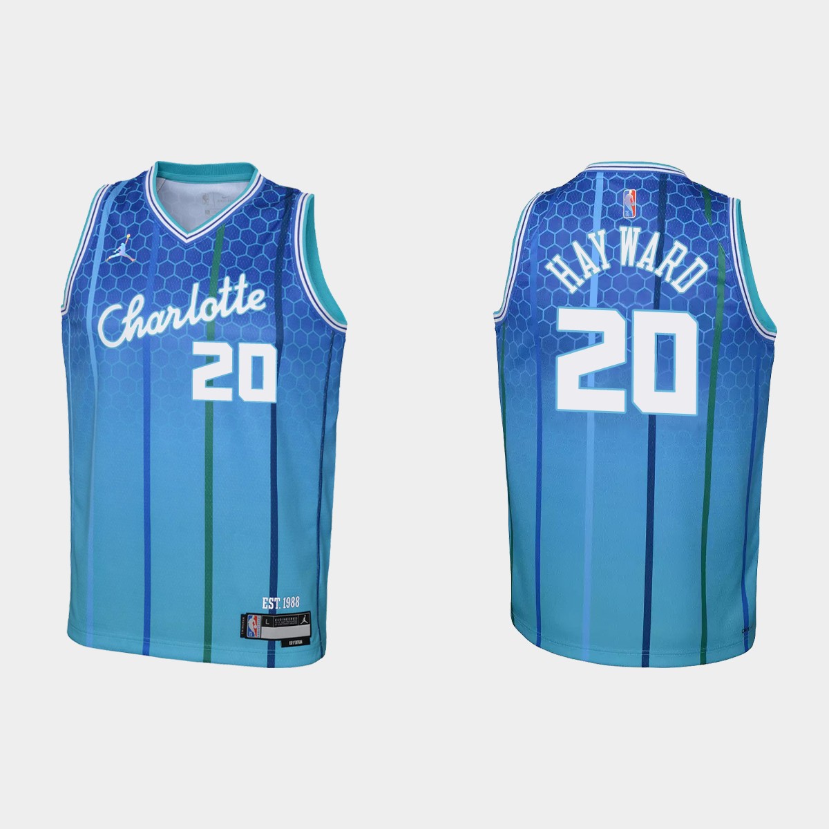 2021-22 Charlotte Hornets #20 Gordon Hayward 75th Anniversary City Blue Jersey Youth
