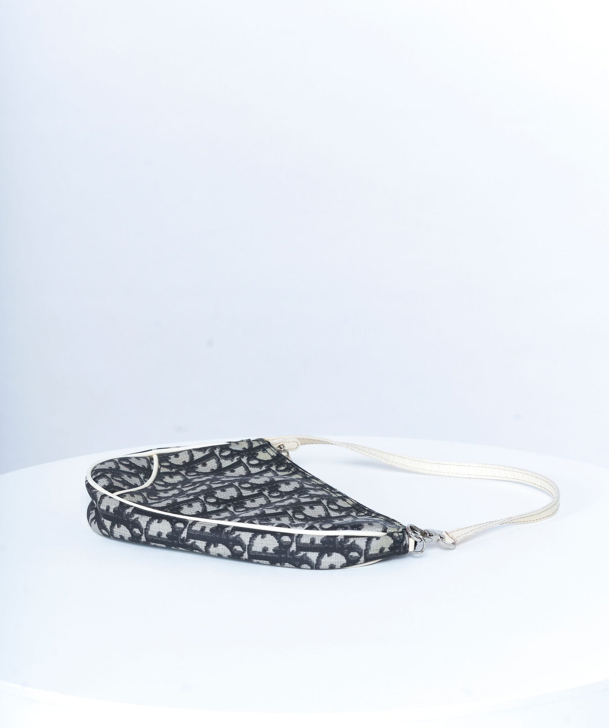 Chrisitian Dior saddle pochette