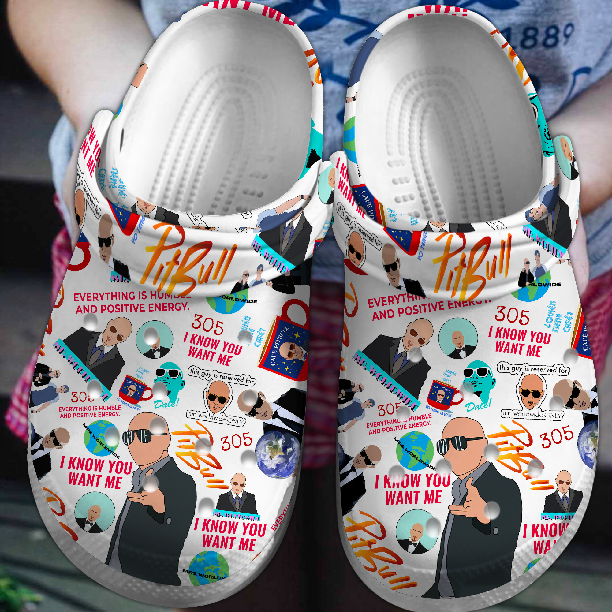 Pitbull Singer Crocs Crocband Clogs Shoes