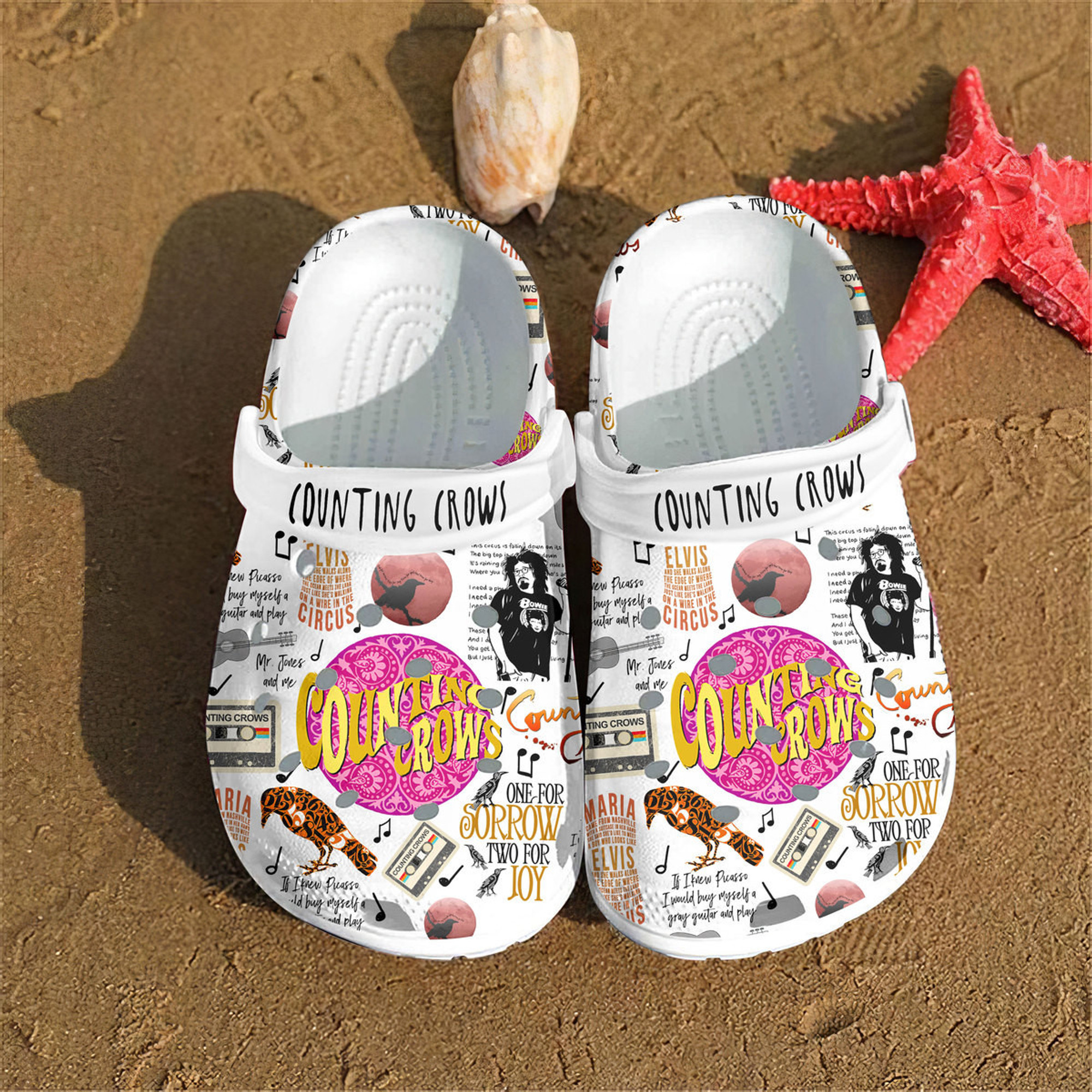 Counting Crows 3D Crocs Crocband Clogs Shoes