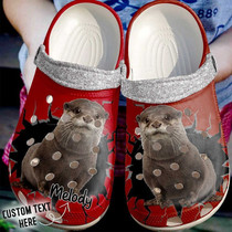 Otter Personalized Crack Wall Clog Shoes For Men And Women