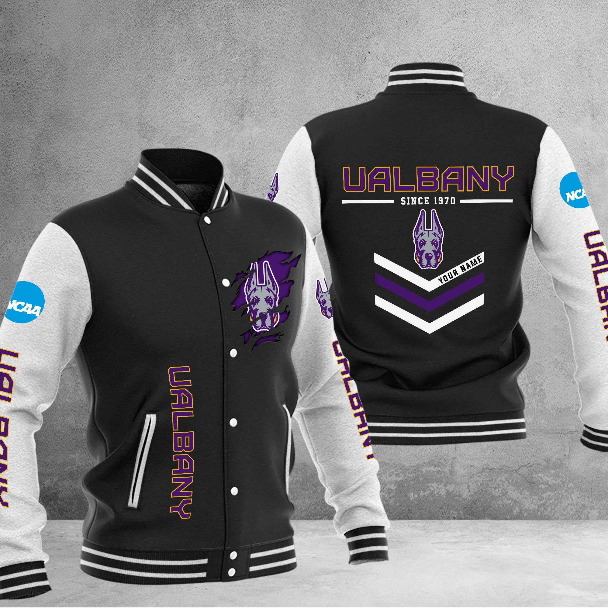 Albany Great Danes Varsity Baseball Jacket Special Gift For Men And Women