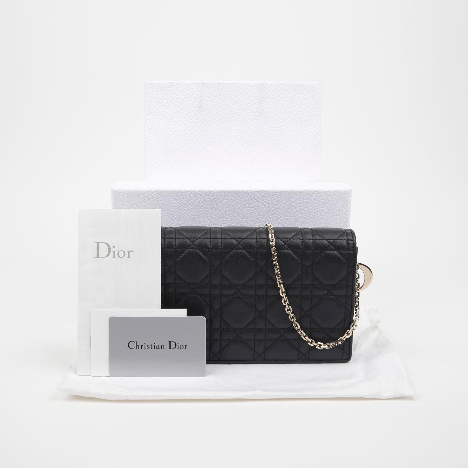 Dior Lady Pouch Crossbody Bag S0204ONMJ