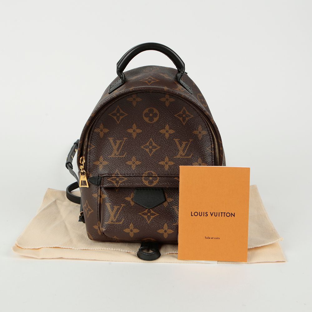 Louis Vuitton Mini Backpack with Palm Springs Design M41562