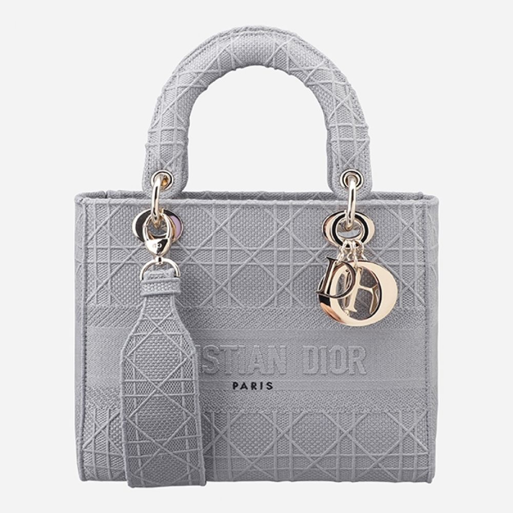 Dior Medium Backpack Gray M0565OREY 950