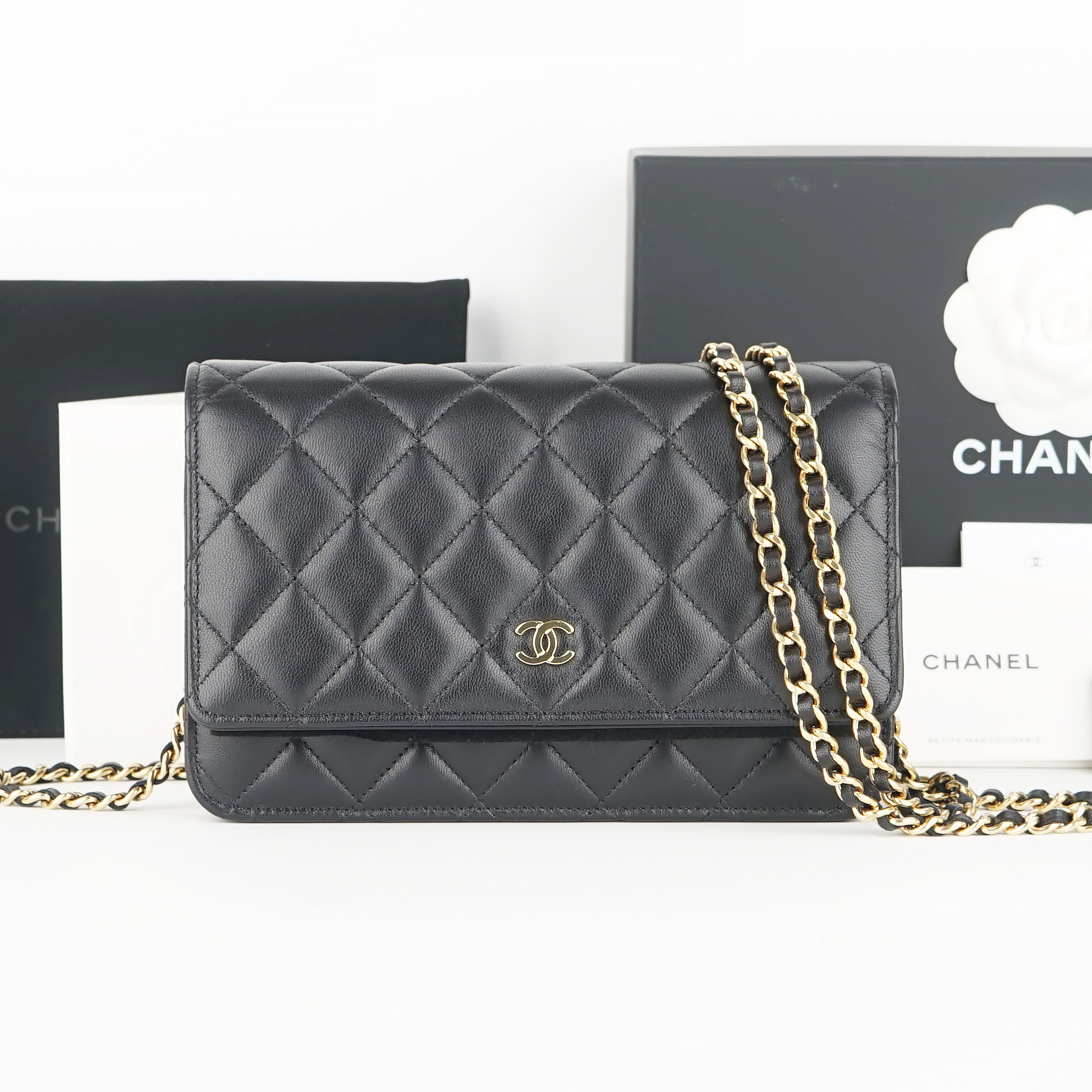 CHANEL Leather WOC with Gold Chip AP0250 SKU