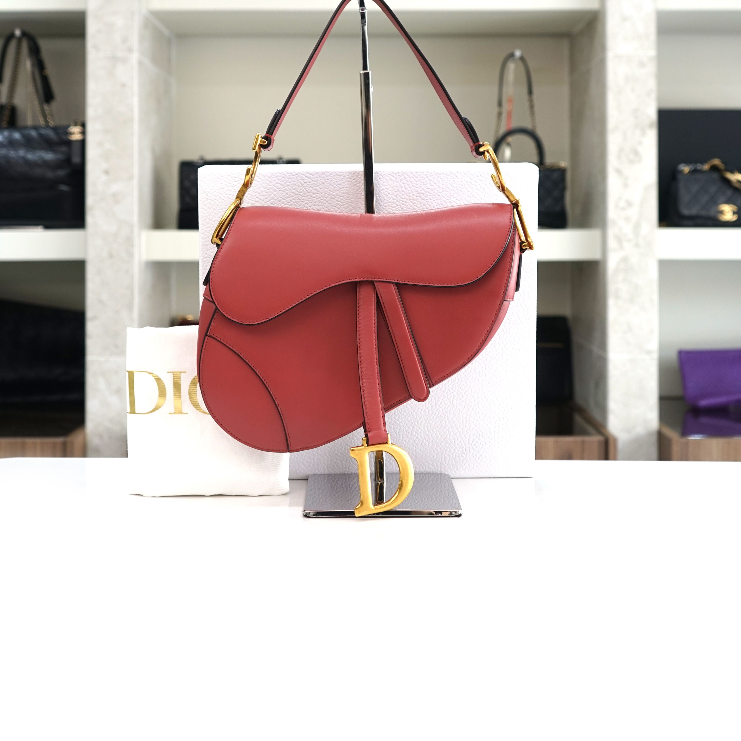 Dior Medium Saddle Bag