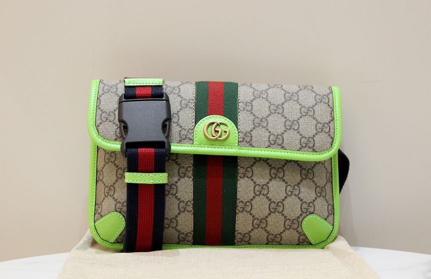Gucci GG Ophidia Small Belt Bag Hip Sack 752597