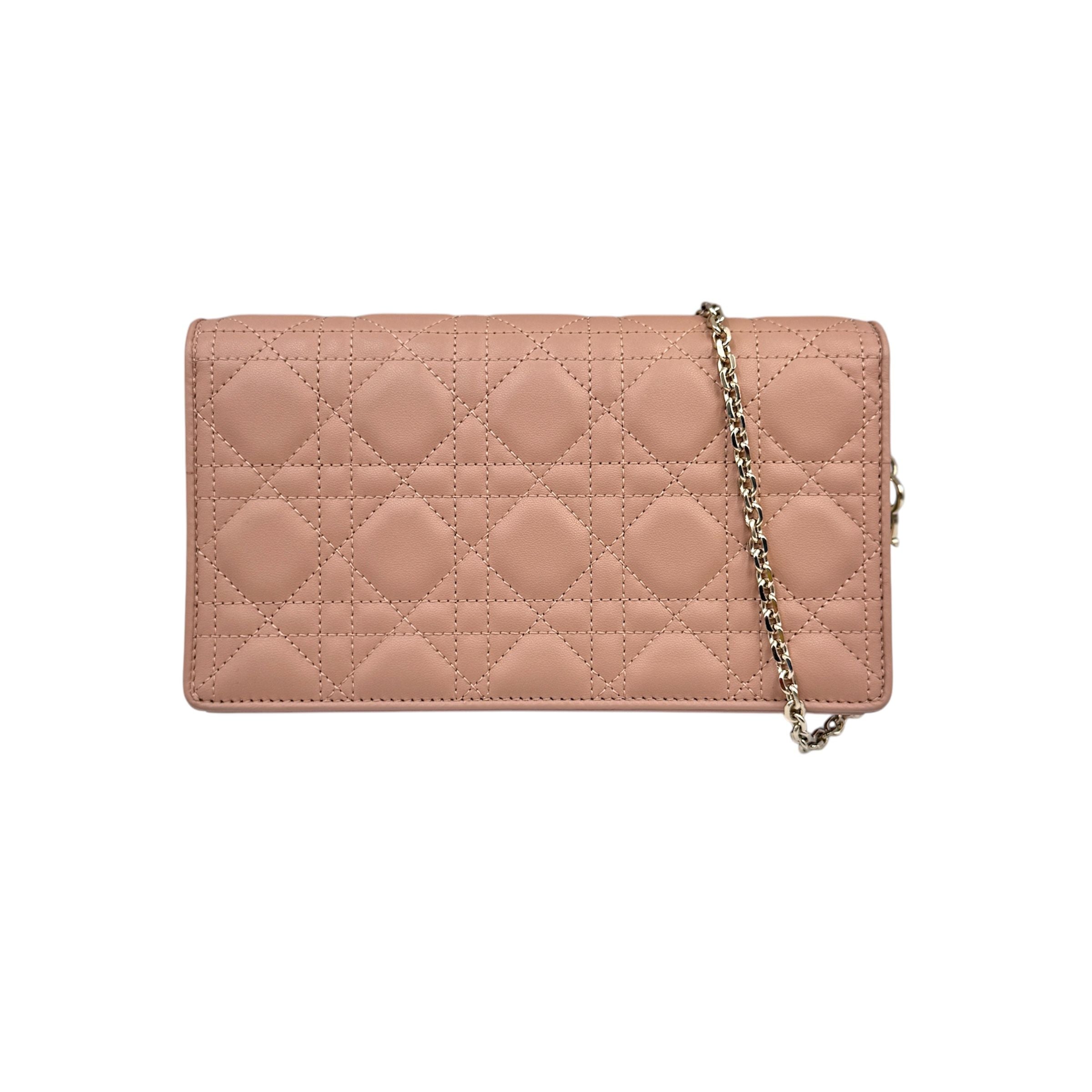 Dior Lady Pouch Crossbody Bag S0204ONMJ_M49P