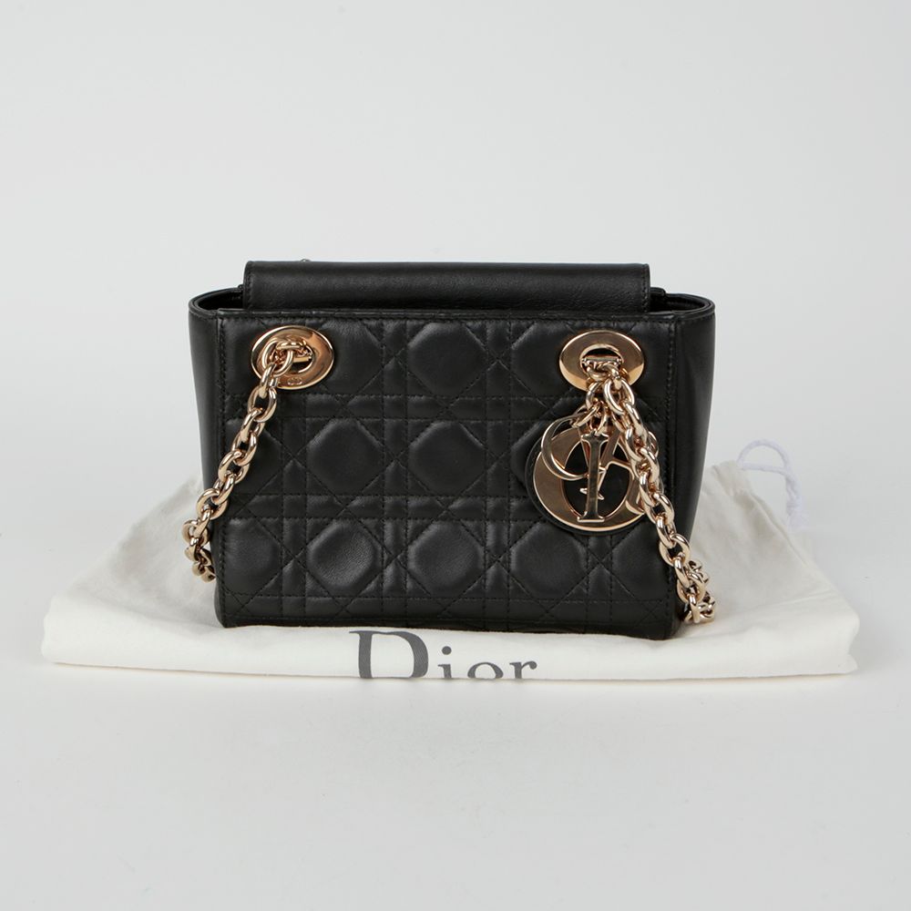 Dior Double Chain Shoulder Bag SKU123