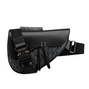 Dior Saddlebag 1ADPO093CDP 43E