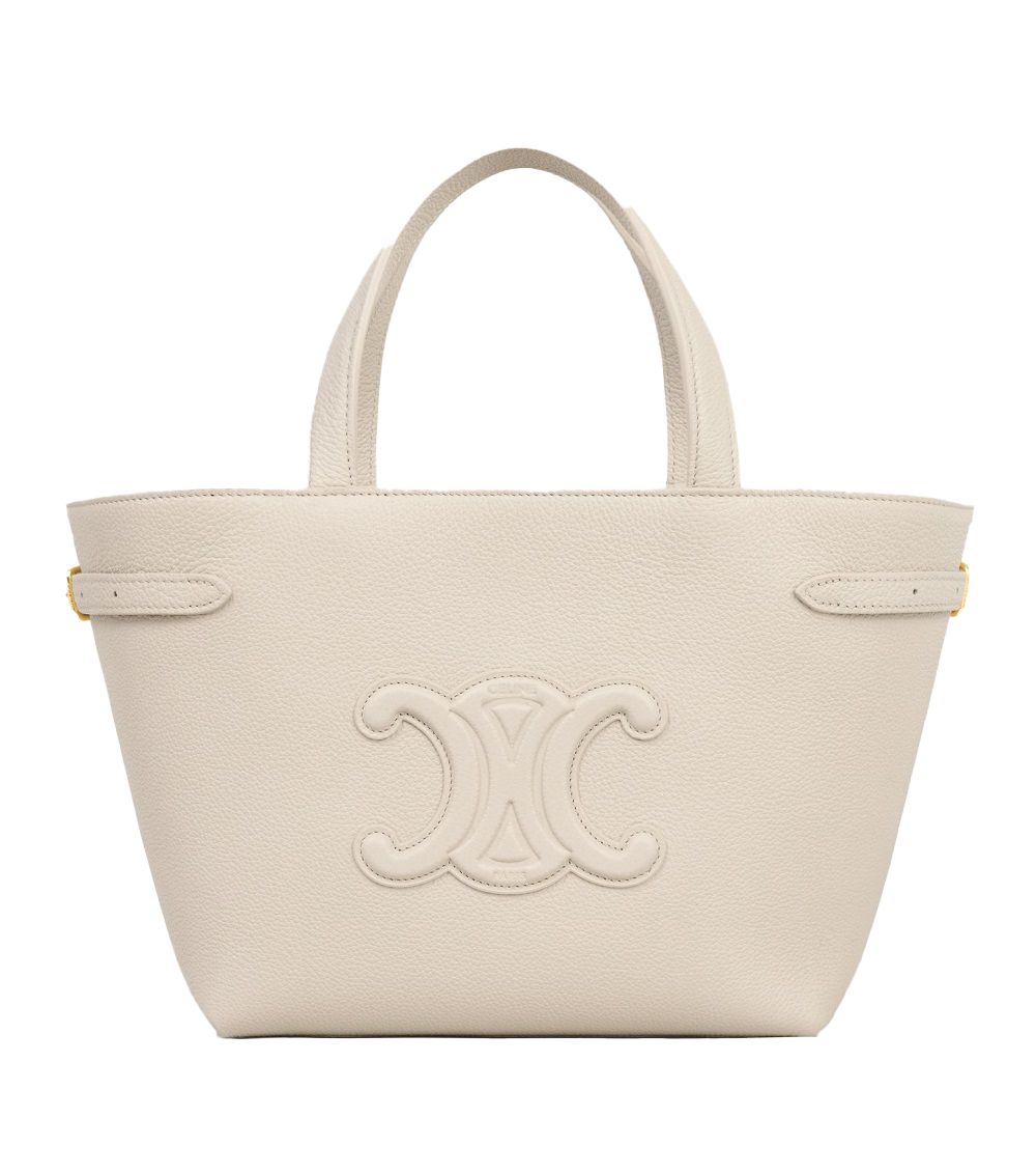 Celine Mini Canvas Anise Quirp Triumph Pale Beige 118613ENY 02PA