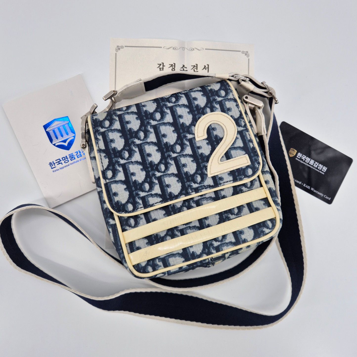 Dior Mini Crossbody Bag with Oblique Pattern PVC Material SKU12345