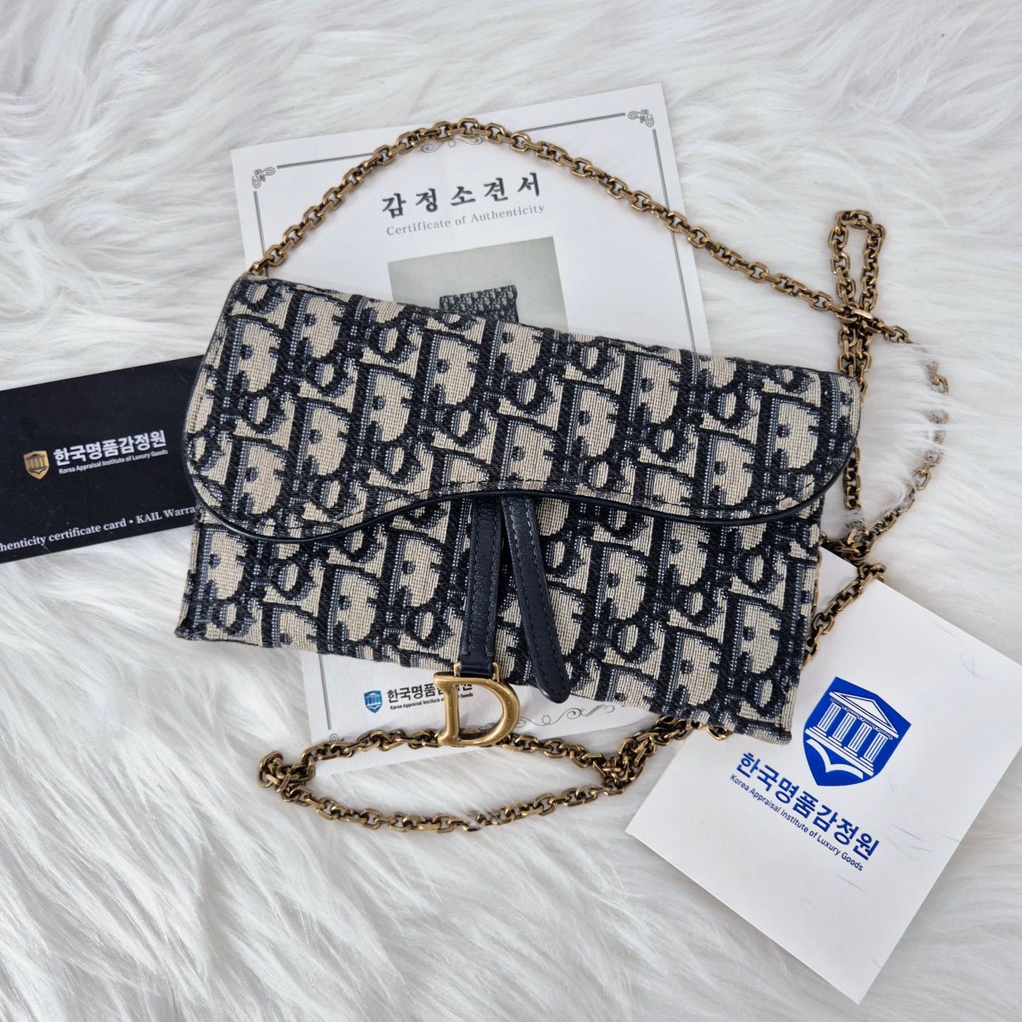 Dior Saddle Chain Crossbody Bag (S5614CTZQ)