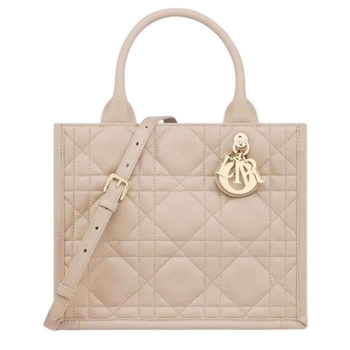Dior Small Tote Bag M1325OWHP_M59U