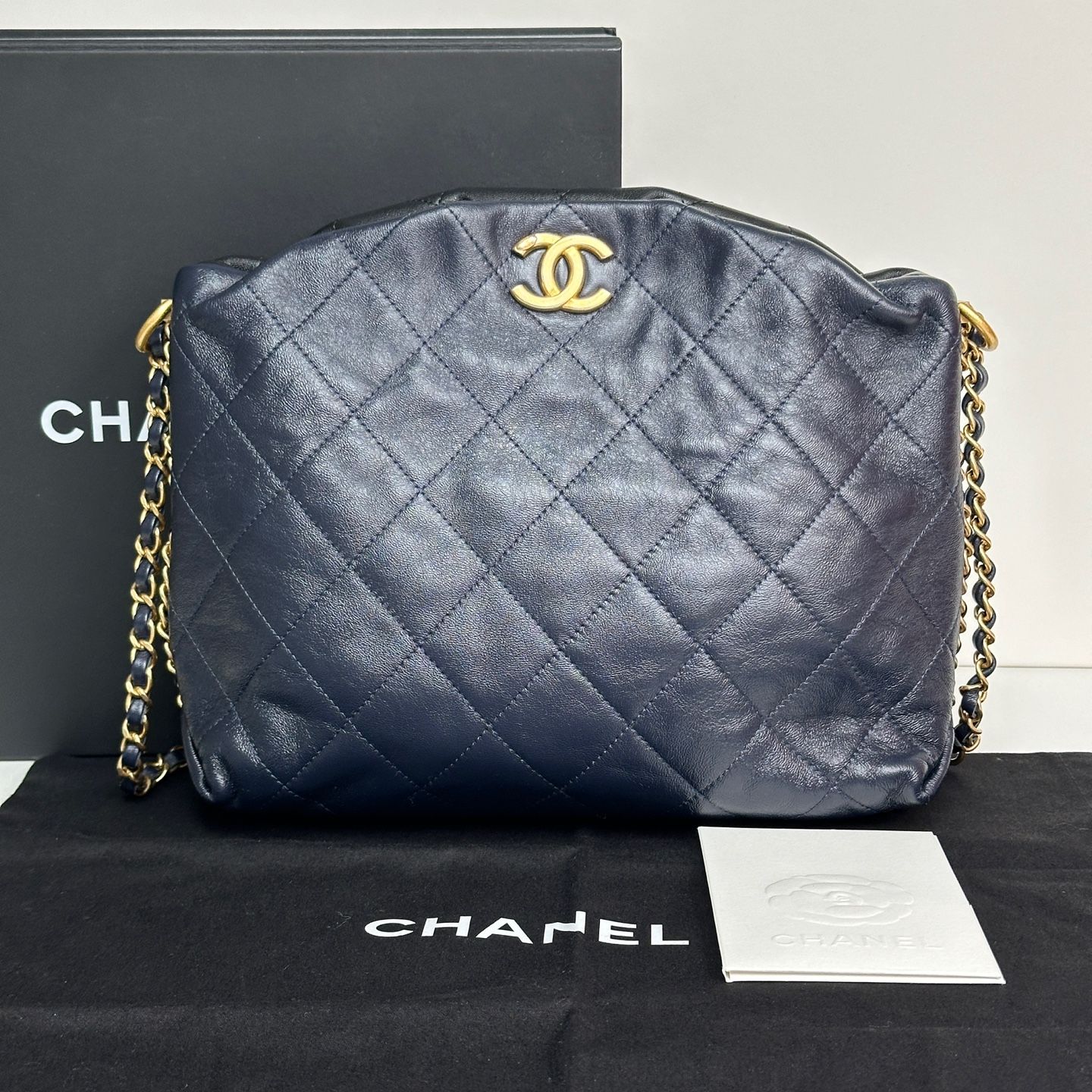 CHANEL Seasonal Hobo Bag Size 29
