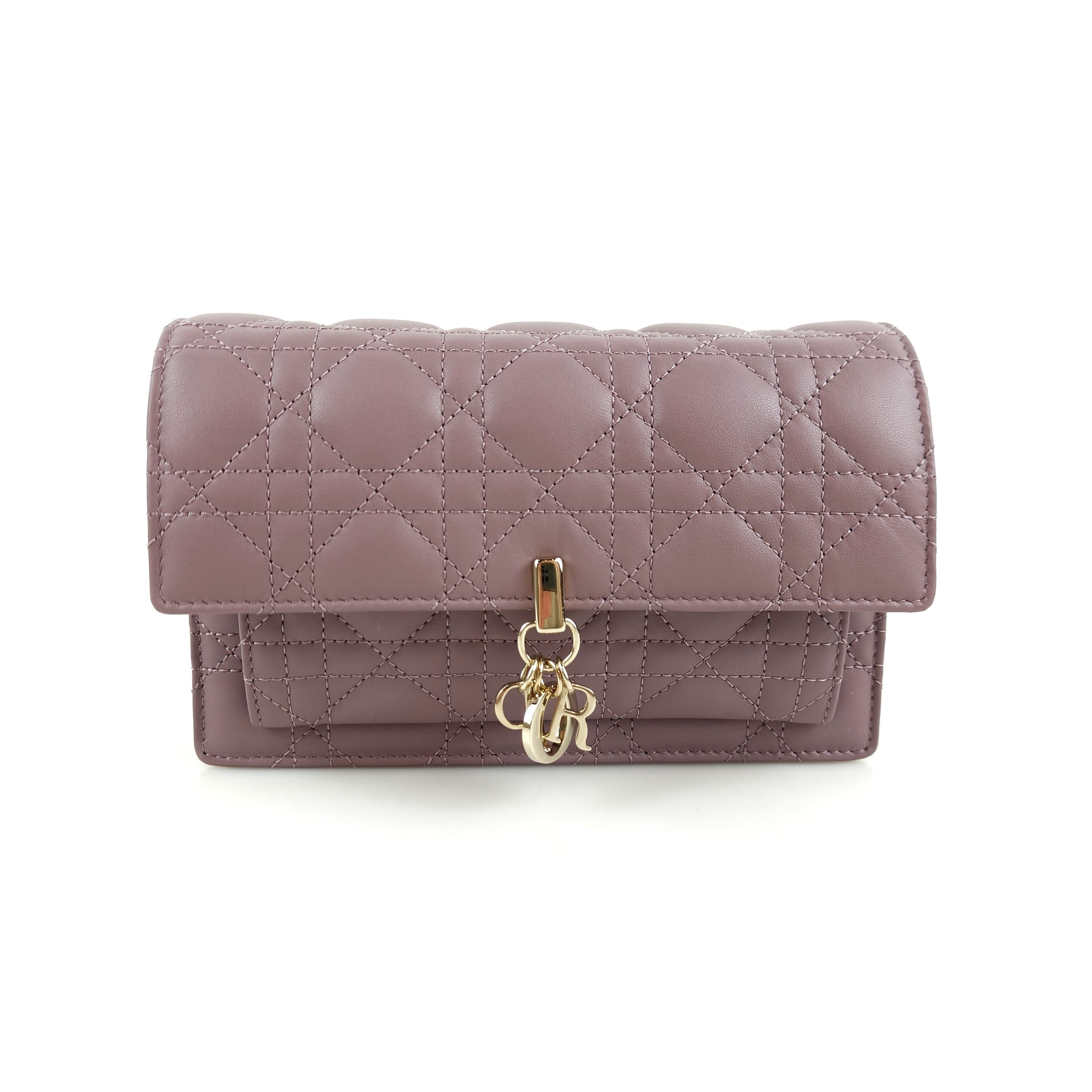 Dior Daily Chain Pouch Crossbody 6829