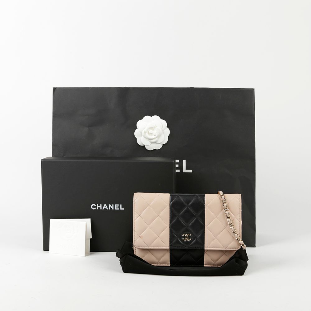 CHANEL Mini Two-Tone Lambskin Classic WOC Shoulder & Crossbody Bag AP0250