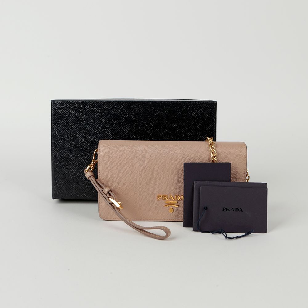 Prada Chain Mini Wallet & Crossbody Bag 1DH029