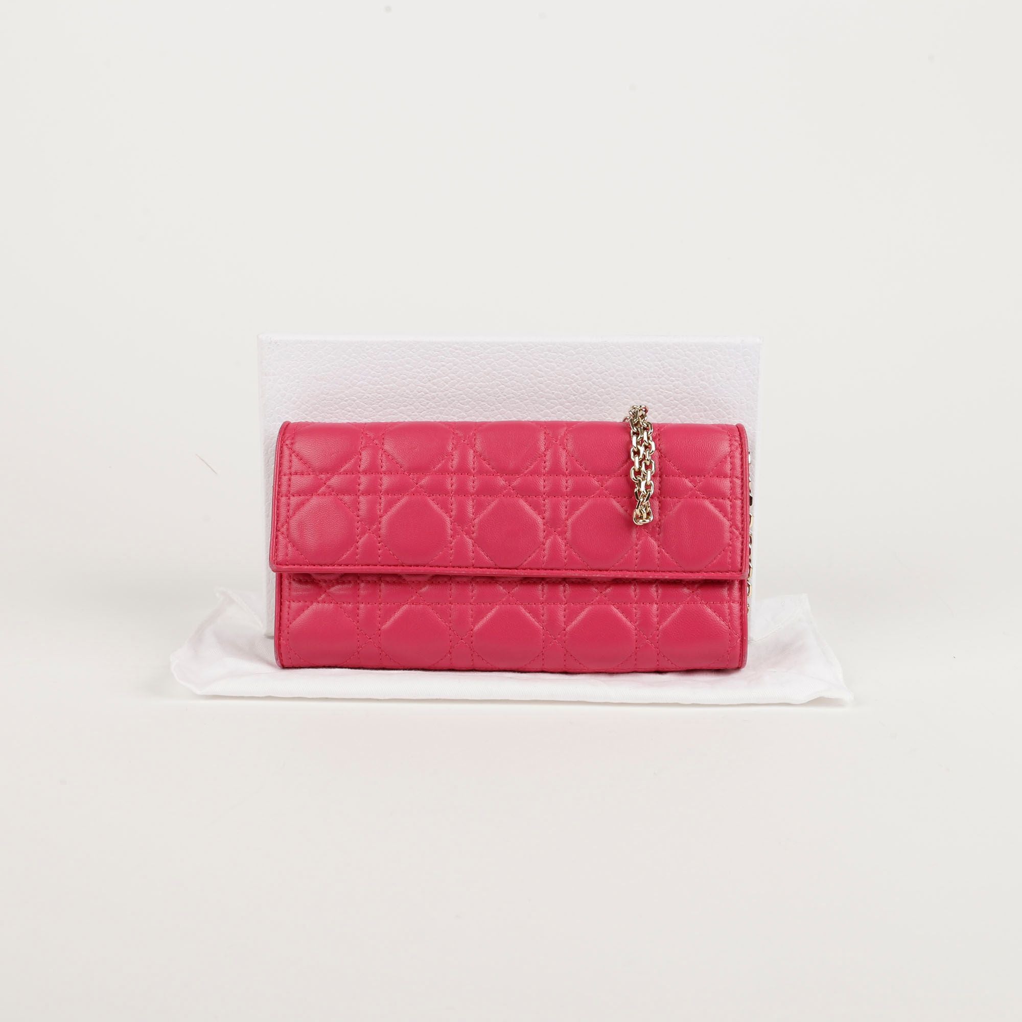 Dior Chain Wallet and Crossbody Bag S0020OCAL